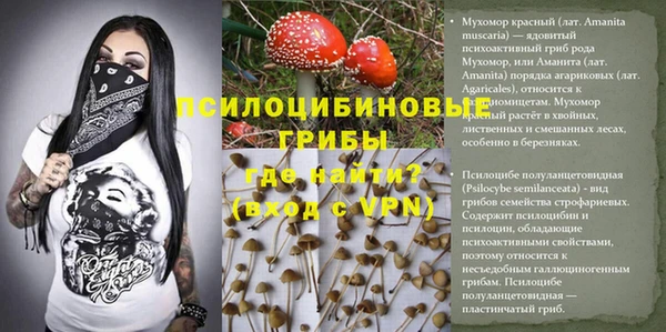 твердый Алзамай