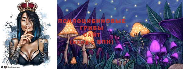 твердый Алзамай