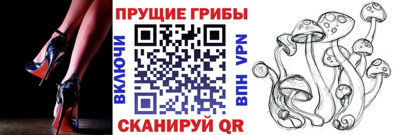 Псилоцибиновые грибы Psilocybe Нолинск