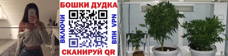Канабис конопля  blacksprut зеркало  Нолинск 